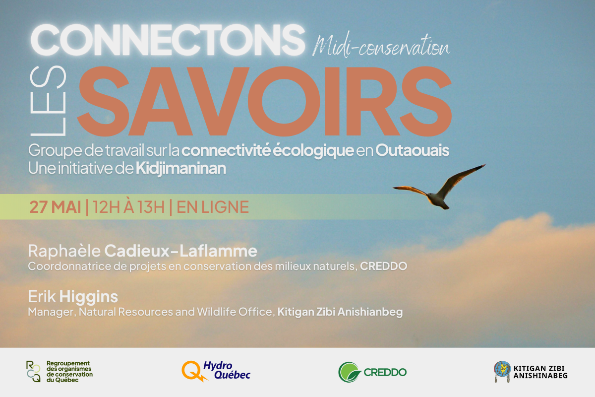 CONNECTONS LES SAVOIRS (19)